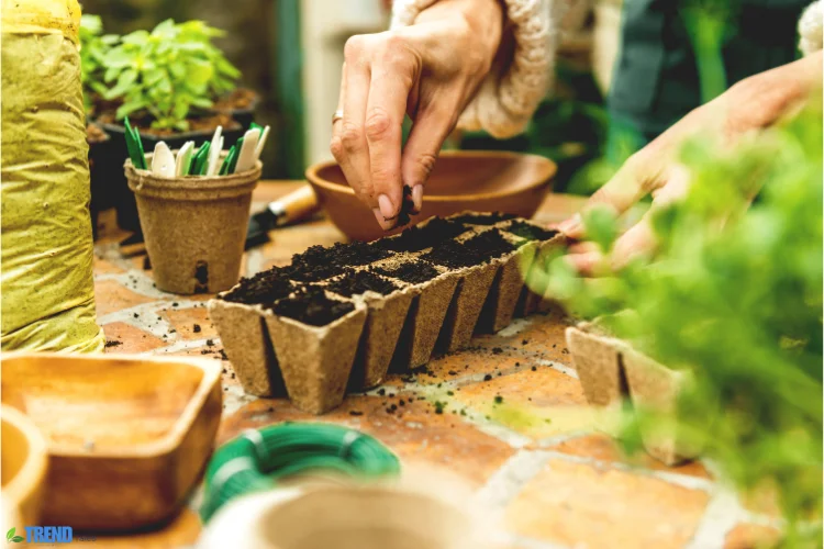 Untitled-design-21 Easy Garden Tips: for a Beautiful Garden Easily