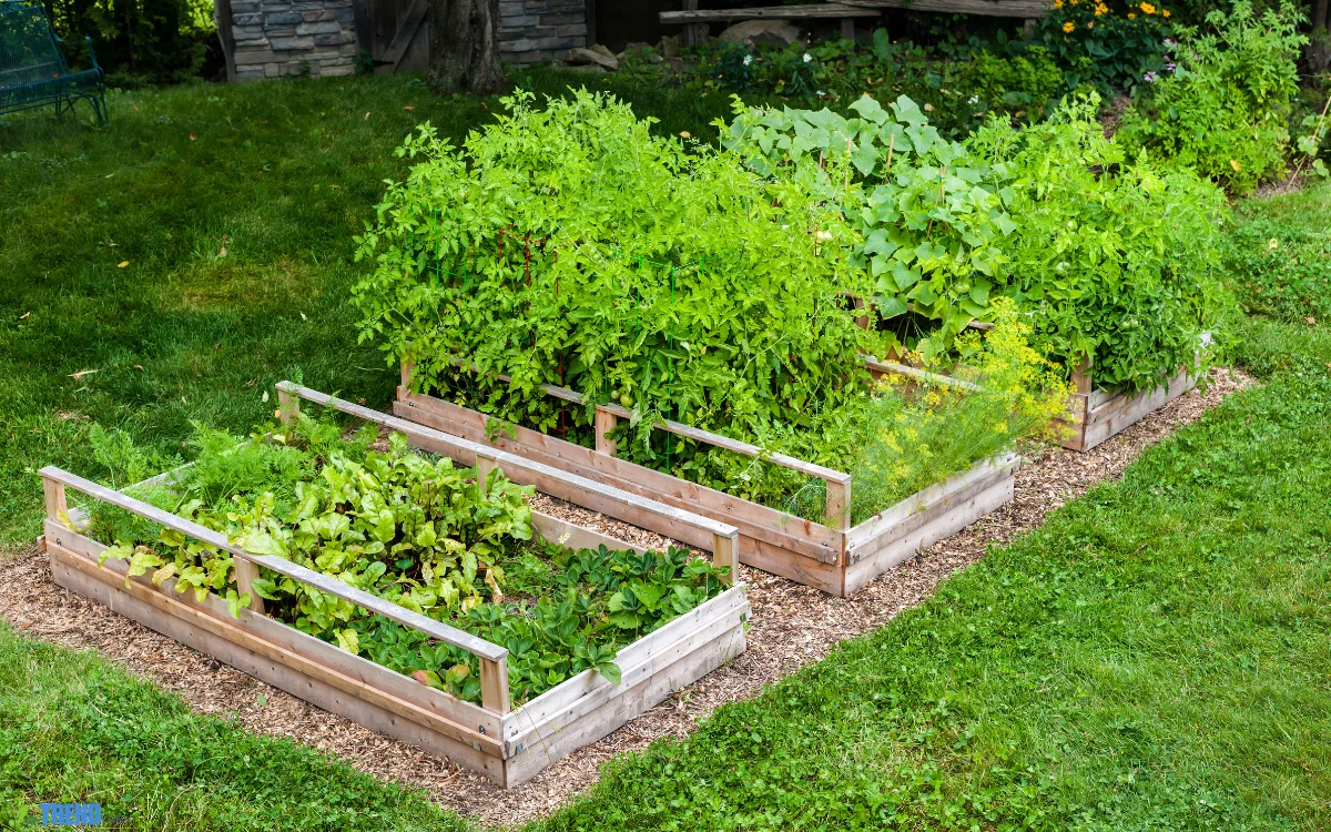 DIY Garden Beds