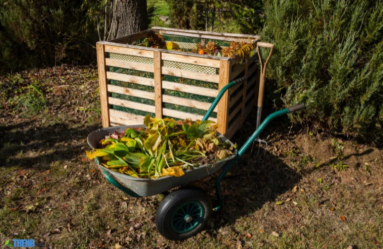 Untitled-design-25 Compost Bin: Best Options for UK Gardeners