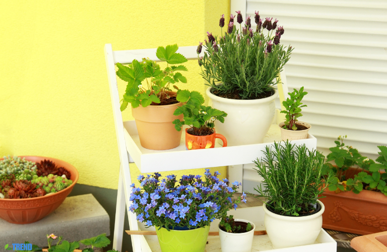 Untitled-design-28 Plant Pots Guide: Best Types for UK Gardens