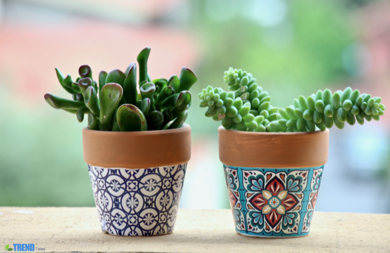 Untitled-design-29 Plant Pots Guide: Best Types for UK Gardens