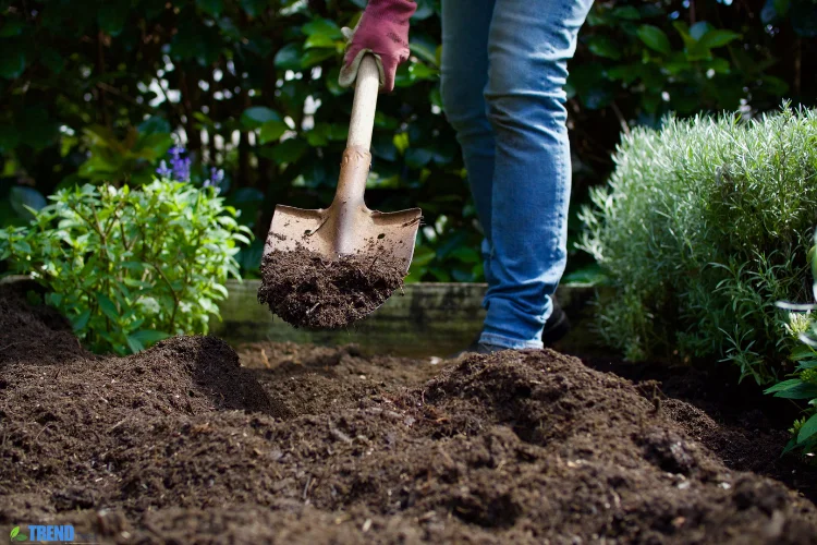 Untitled-design-32 Garden Soil:Tips for Gardens | Improve Soil Fast