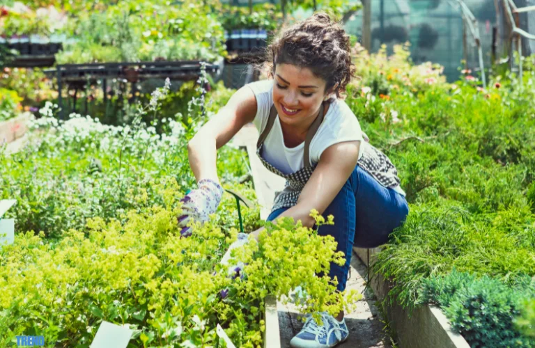 Untitled-design-38 Greenhouse Kits:for Year Round Gardening Success