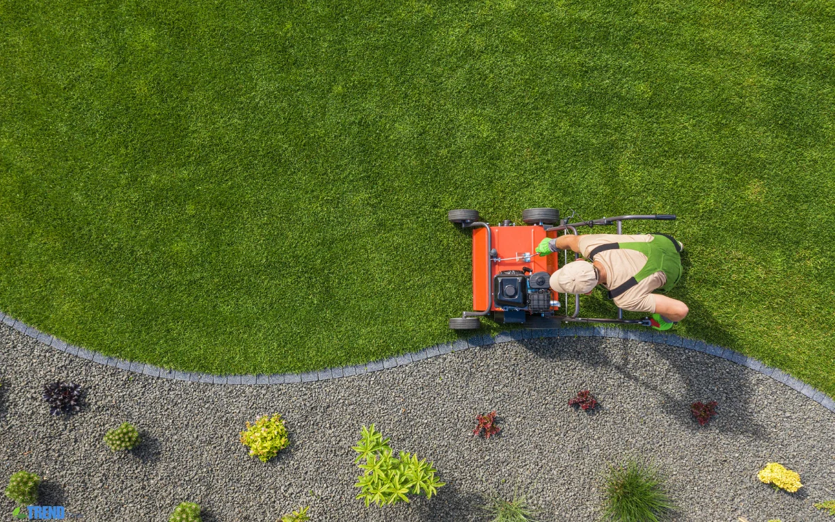 Garden Edging