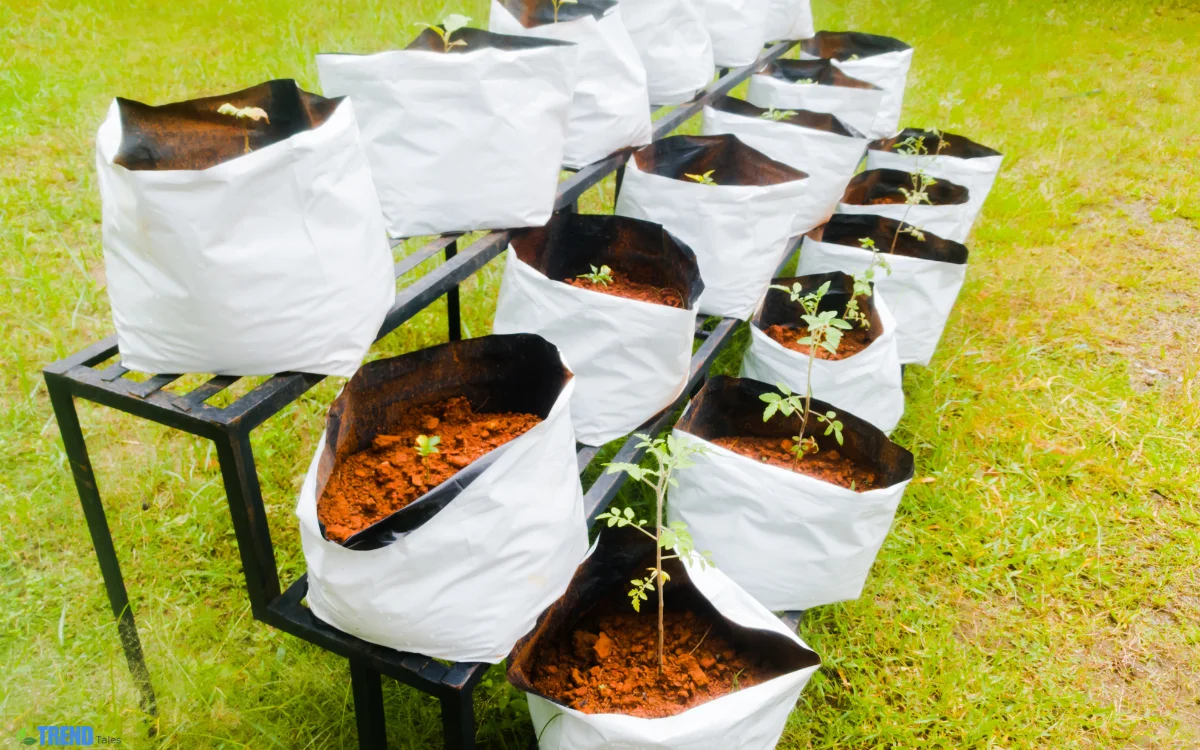 Grow Bags