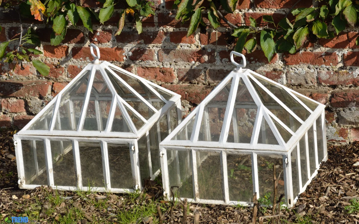 Garden Cloches