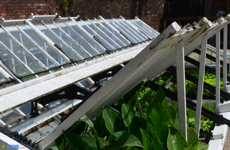 Untitled-design-50 Garden Cloches: Boost Plant Protection & Growth