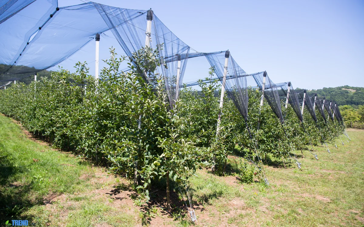 garden netting