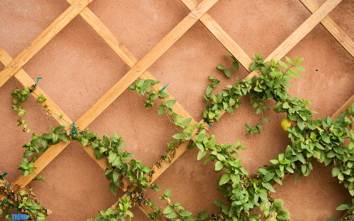 Trellis Panels
