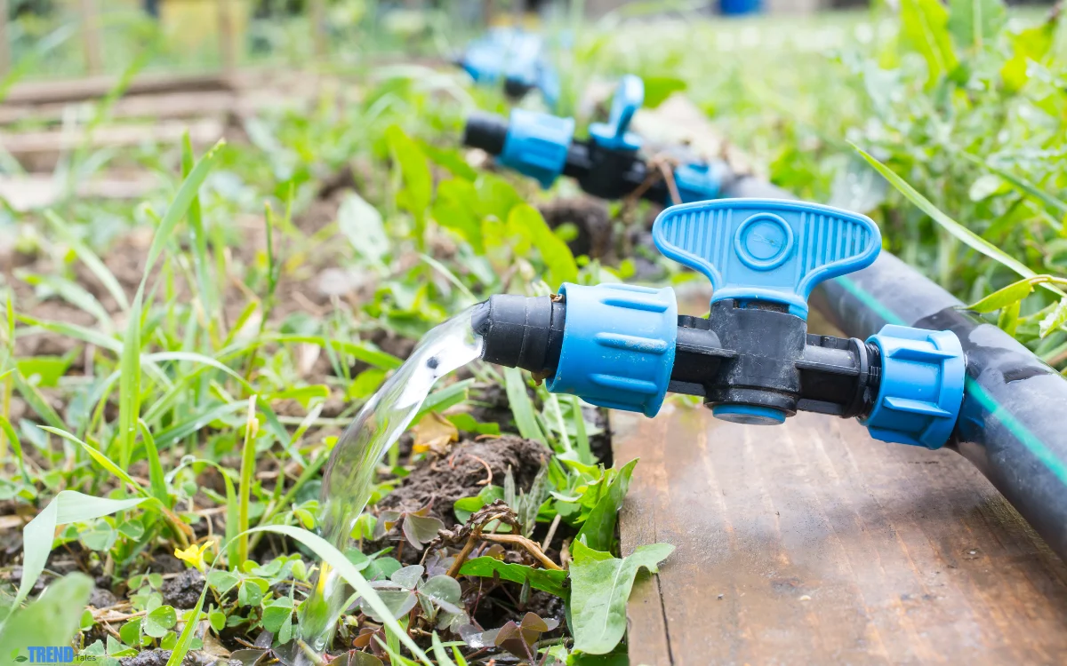 Garden Irrigation