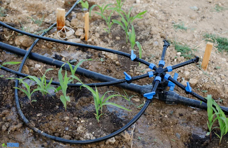 Untitled-design-68 Garden Irrigation : Tips for a Healthy, Lush Garden