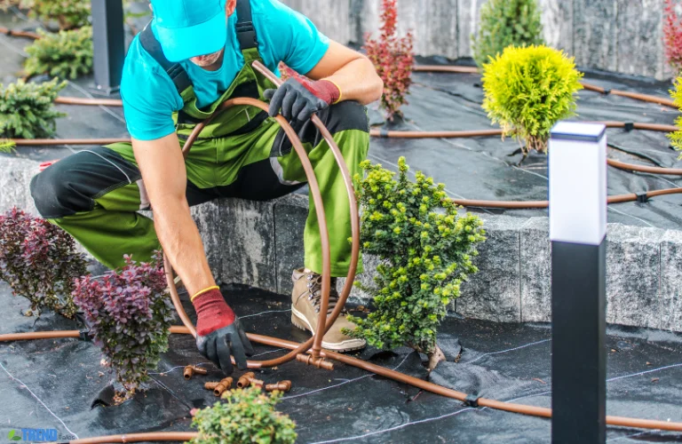 Untitled-design-69 Garden Irrigation : Tips for a Healthy, Lush Garden