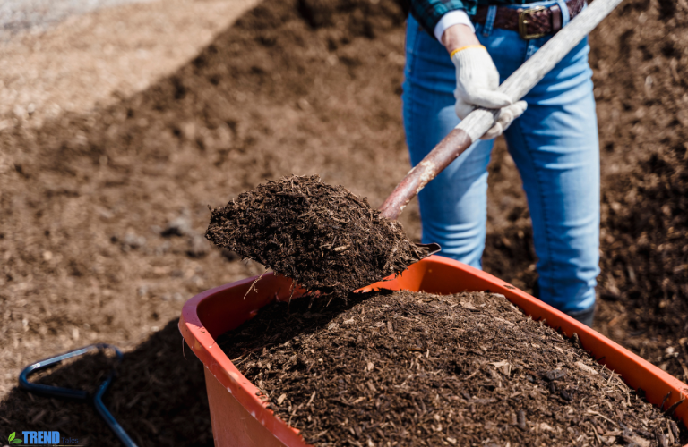 Untitled-design-77 Topsoil Delivery: for Gardens & Lawns  Fast & Reliable