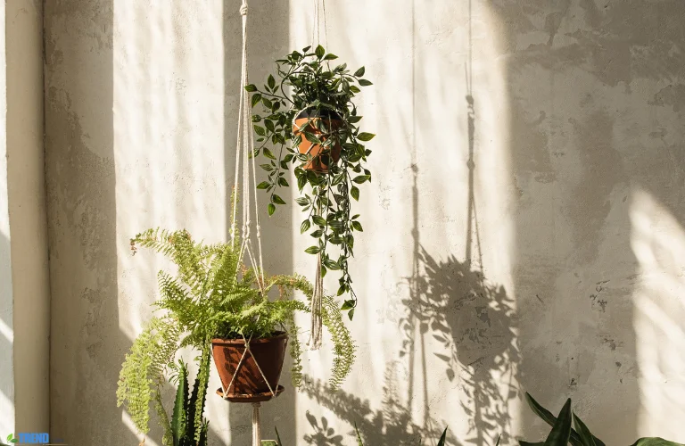 Untitled-design-19 Trailing Plants Indoor: Lush Ideas to Transform Your Space