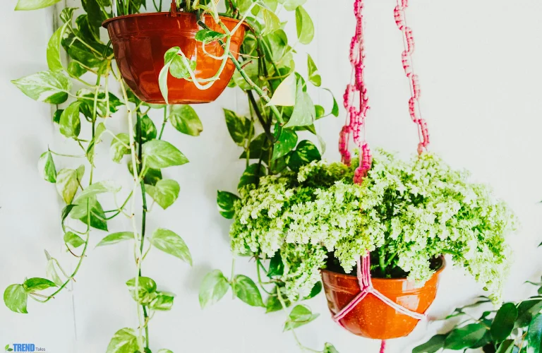 Untitled-design-20 Trailing Plants Indoor: Lush Ideas to Transform Your Space