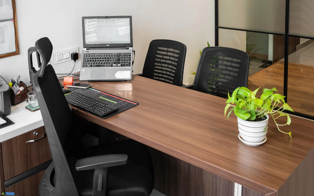 Office Desk Plants