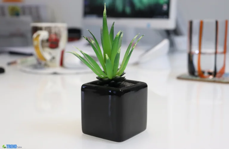 Untitled-design-22-1 Office Desk Plants: Boost Your Workspace Style & Focus